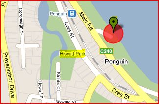 Penguin Beach