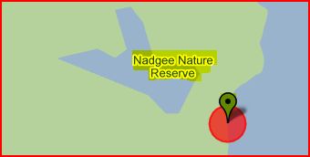 Nadgee Beach