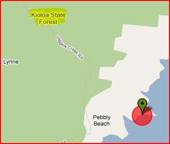 Pebbly Beach 4