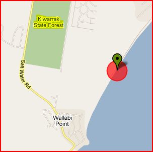 Wallabi Beach