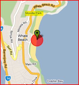 Whale Beach 1